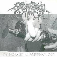 Patisserie : Pathorgenal Forensology